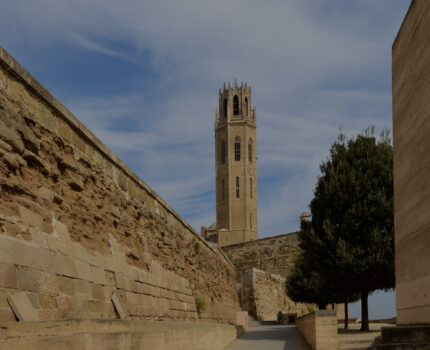 Microcemento en Lleida
